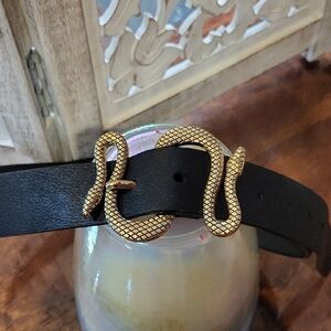 Express Black Belt with Gold Snake Buckle